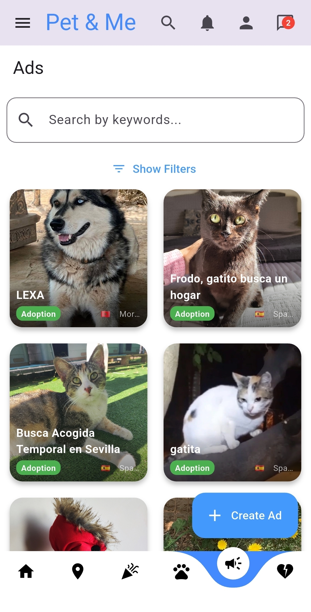 Foster & Adoption